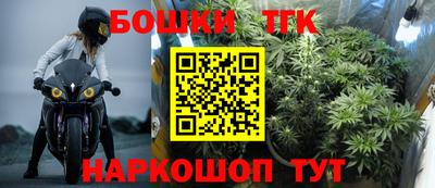 СК Шебекино